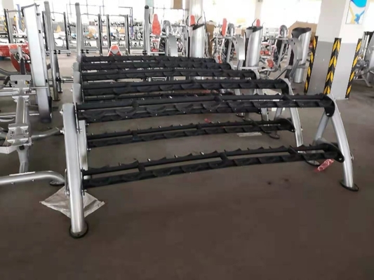 Cremalheira 80kg do peso da série do peso 2 da aptidão do clube do Gym do músculo do exercício