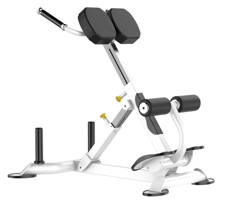 Máquina de Rohs Roman Chair Back Extension Exercise para o Gym