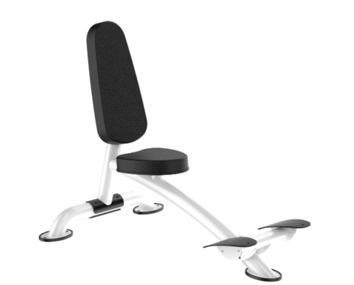 Máquina de Rohs Roman Chair Back Extension Exercise para o Gym