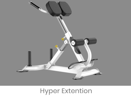 Máquina de Rohs Roman Chair Back Extension Exercise para o Gym