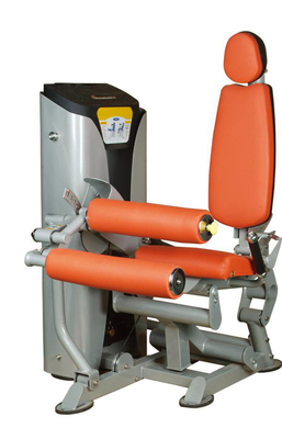 Músculo oblongo comercial do exercício da máquina da onda de pé do tubo do equipamento T3.5 do Gym