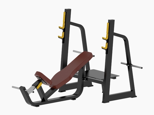 Cama dedicada comercial do halterofilismo do gym da imprensa de banco horizontal e inclinado e dispositivo de formação detalhado do barbell