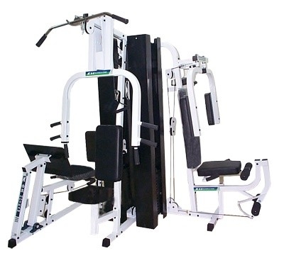 Grupo multifuncional comercial do equipamento 50kgs/2 do Gym de Borgonha