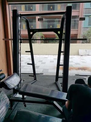 Máquina detalhada da fileira de Fitness Smith Machine Squat Rack Gym do instrutor