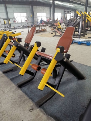 Assentado enfileirando equipamento comercial da função do Gym interno do equipamento de Back Muscle Exercise do instrutor o único