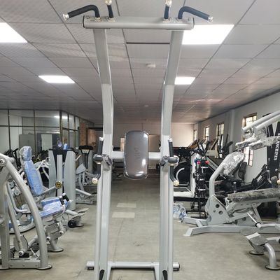 ODM do OEM da máquina de Chin Up Bar Body Fit da aptidão do halterofilismo