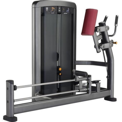 Aptidão do halterofilismo que está anca o instrutor integrado multi máquina do Gym