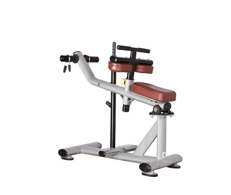 Os acessórios da aptidão do Gym ISO9001 assentaram a máquina H-029 da vitela