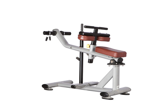 Os acessórios da aptidão do Gym ISO9001 assentaram a máquina H-029 da vitela