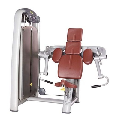 Máquina da onda do bíceps do equipamento do Gym da aptidão do ODM do OEM com couro sintético
