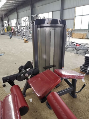 Equipamento de treino de formação abdominal 180kgs do estômago da máquina do OEM