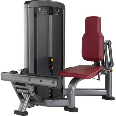 Máquina assentada do aumento da vitela do body building do Gym tubo oval