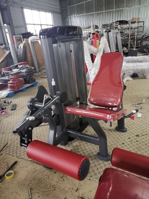 O equipamento novo da aptidão da vida desdobrou o revestimento assentado do pó da máquina da imprensa de Tricep